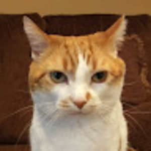 Meet your Posher, Jason